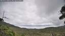 ./images/calvert/fitz-hugh-hecate/20260914/fitz-hugh-hecate20260914_124502M.jpg