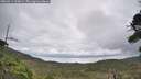 ./images/calvert/fitz-hugh-hecate/20260914/fitz-hugh-hecate20260914_130002M.jpg