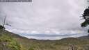 ./images/calvert/fitz-hugh-hecate/20260914/fitz-hugh-hecate20260914_131501M.jpg