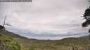 ./images/calvert/fitz-hugh-hecate/20260914/fitz-hugh-hecate20260914_141501M.jpg