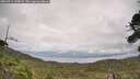 ./images/calvert/fitz-hugh-hecate/20260914/fitz-hugh-hecate20260914_143001M.jpg