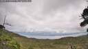 ./images/calvert/fitz-hugh-hecate/20260914/fitz-hugh-hecate20260914_143501M.jpg