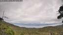 ./images/calvert/fitz-hugh-hecate/20260914/fitz-hugh-hecate20260914_144501M.jpg