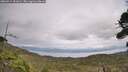 ./images/calvert/fitz-hugh-hecate/20260914/fitz-hugh-hecate20260914_151002M.jpg