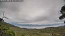 ./images/calvert/fitz-hugh-hecate/20260914/fitz-hugh-hecate20260914_155002M.jpg