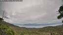 ./images/calvert/fitz-hugh-hecate/20260914/fitz-hugh-hecate20260914_170501M.jpg