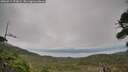 ./images/calvert/fitz-hugh-hecate/20260914/fitz-hugh-hecate20260914_173001M.jpg