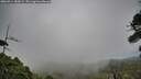./images/calvert/fitz-hugh-hecate/20260914/fitz-hugh-hecate20260914_183002M.jpg