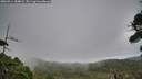 ./images/calvert/fitz-hugh-hecate/20260914/fitz-hugh-hecate20260914_184001M.jpg
