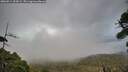 ./images/calvert/fitz-hugh-hecate/20260914/fitz-hugh-hecate20260914_194502M.jpg