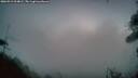 ./images/calvert/fitz-hugh-hecate/20260915/fitz-hugh-hecate20260915_064002M.jpg