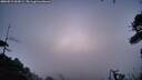 ./images/calvert/fitz-hugh-hecate/20260915/fitz-hugh-hecate20260915_064501M.jpg