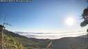 ./images/calvert/fitz-hugh-hecate/20260915/fitz-hugh-hecate20260915_083501M.jpg