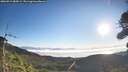 ./images/calvert/fitz-hugh-hecate/20260915/fitz-hugh-hecate20260915_084501M.jpg