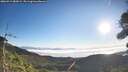 ./images/calvert/fitz-hugh-hecate/20260915/fitz-hugh-hecate20260915_085002M.jpg