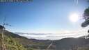./images/calvert/fitz-hugh-hecate/20260915/fitz-hugh-hecate20260915_090001M.jpg