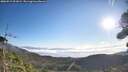 ./images/calvert/fitz-hugh-hecate/20260915/fitz-hugh-hecate20260915_091002M.jpg