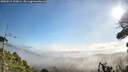 ./images/calvert/fitz-hugh-hecate/20260915/fitz-hugh-hecate20260915_100001M.jpg