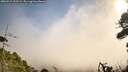 ./images/calvert/fitz-hugh-hecate/20260915/fitz-hugh-hecate20260915_102501M.jpg