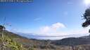 ./images/calvert/fitz-hugh-hecate/20260915/fitz-hugh-hecate20260915_104501M.jpg