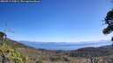 ./images/calvert/fitz-hugh-hecate/20260915/fitz-hugh-hecate20260915_120002M.jpg