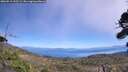 ./images/calvert/fitz-hugh-hecate/20260915/fitz-hugh-hecate20260915_133501M.jpg