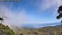 ./images/calvert/fitz-hugh-hecate/20260915/fitz-hugh-hecate20260915_134502M.jpg