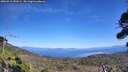 ./images/calvert/fitz-hugh-hecate/20260915/fitz-hugh-hecate20260915_141001M.jpg
