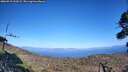 ./images/calvert/fitz-hugh-hecate/20260915/fitz-hugh-hecate20260915_163001M.jpg