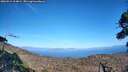 ./images/calvert/fitz-hugh-hecate/20260915/fitz-hugh-hecate20260915_164001M.jpg