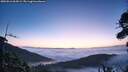 ./images/calvert/fitz-hugh-hecate/20260916/fitz-hugh-hecate20260916_064502M.jpg