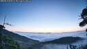./images/calvert/fitz-hugh-hecate/20260916/fitz-hugh-hecate20260916_065501M.jpg