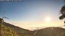./images/calvert/fitz-hugh-hecate/20260916/fitz-hugh-hecate20260916_080001M.jpg