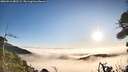 ./images/calvert/fitz-hugh-hecate/20260916/fitz-hugh-hecate20260916_081501M.jpg