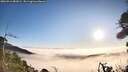 ./images/calvert/fitz-hugh-hecate/20260916/fitz-hugh-hecate20260916_082002M.jpg