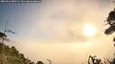 ./images/calvert/fitz-hugh-hecate/20260916/fitz-hugh-hecate20260916_082501M.jpg
