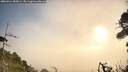 ./images/calvert/fitz-hugh-hecate/20260916/fitz-hugh-hecate20260916_083001M.jpg