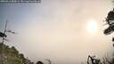 ./images/calvert/fitz-hugh-hecate/20260916/fitz-hugh-hecate20260916_084501M.jpg