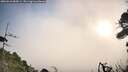 ./images/calvert/fitz-hugh-hecate/20260916/fitz-hugh-hecate20260916_085001M.jpg
