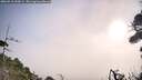 ./images/calvert/fitz-hugh-hecate/20260916/fitz-hugh-hecate20260916_090001M.jpg