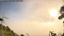 ./images/calvert/fitz-hugh-hecate/20260916/fitz-hugh-hecate20260916_090501M.jpg