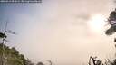 ./images/calvert/fitz-hugh-hecate/20260916/fitz-hugh-hecate20260916_091001M.jpg