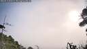 ./images/calvert/fitz-hugh-hecate/20260916/fitz-hugh-hecate20260916_091501M.jpg