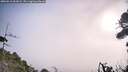 ./images/calvert/fitz-hugh-hecate/20260916/fitz-hugh-hecate20260916_092001M.jpg