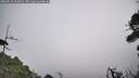 ./images/calvert/fitz-hugh-hecate/20260916/fitz-hugh-hecate20260916_103001M.jpg