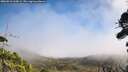 ./images/calvert/fitz-hugh-hecate/20260916/fitz-hugh-hecate20260916_124501M.jpg