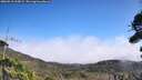 ./images/calvert/fitz-hugh-hecate/20260916/fitz-hugh-hecate20260916_125002M.jpg