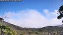 ./images/calvert/fitz-hugh-hecate/20260916/fitz-hugh-hecate20260916_125501M.jpg