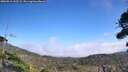./images/calvert/fitz-hugh-hecate/20260916/fitz-hugh-hecate20260916_133501M.jpg