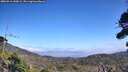 ./images/calvert/fitz-hugh-hecate/20260916/fitz-hugh-hecate20260916_140002M.jpg